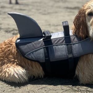 Dog shark life vest